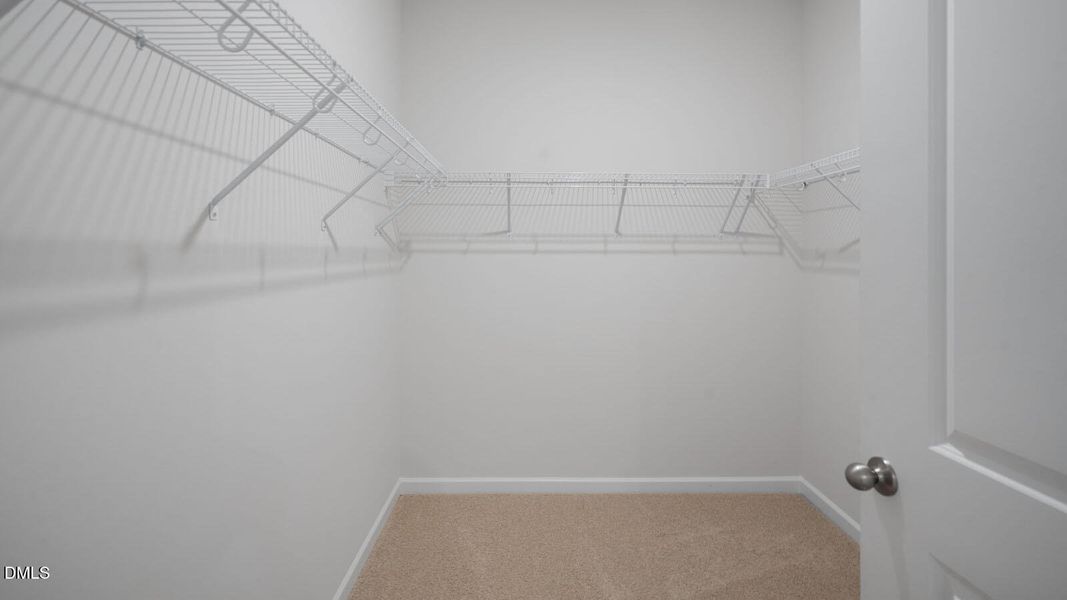 75-tobacco-woods-018