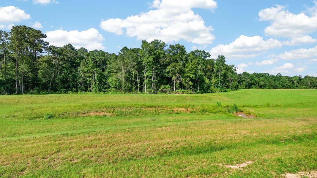 Natural landscape and outdoor views near Caney Mills in Conroe (Image 24).