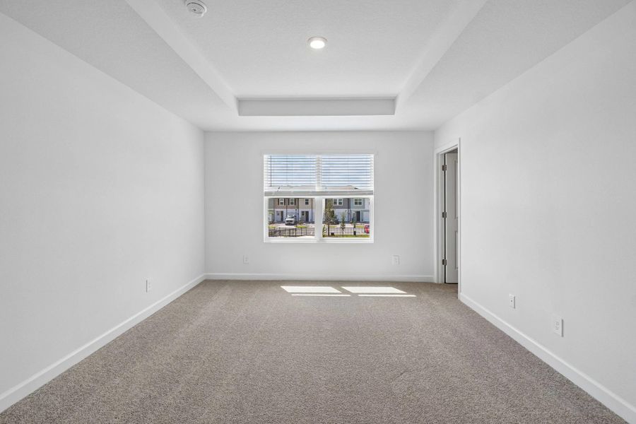 Primary bedroom features a tray ceiling and a double window