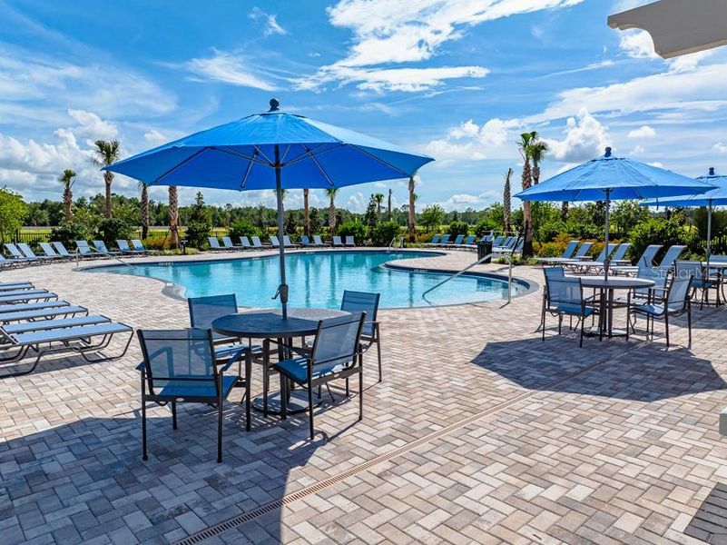 Community amenities in Palm Wind, Hudson (Image 31).