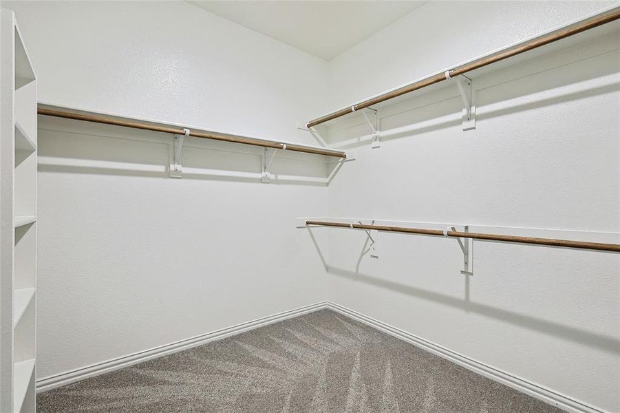 Walk in closet featuring carpet flooring