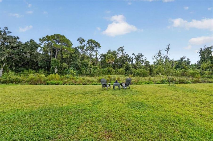 Natural landscape and outdoor views near Prosperity Lakes in Parrish (Image 34).