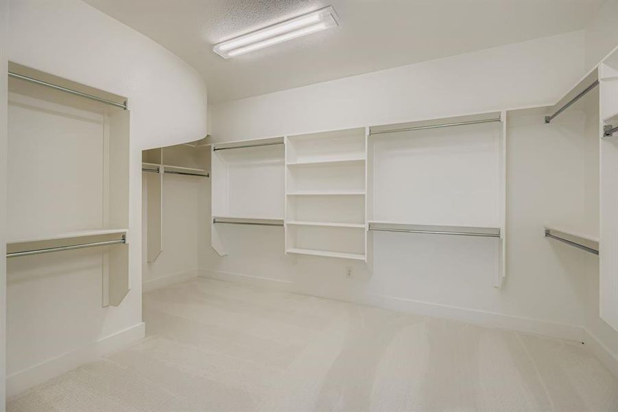 Walk in closet featuring light colored carpet