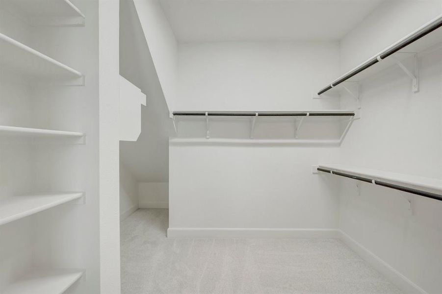 Expansive closet featuring white walls, light-toned carpeting, multiple shelving units, and clothing rods
