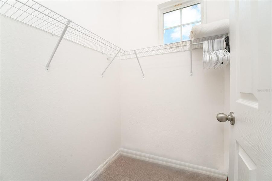 Spacious, unfurnished interior of a new home in Mezzano, Winter Garden (Image 18).