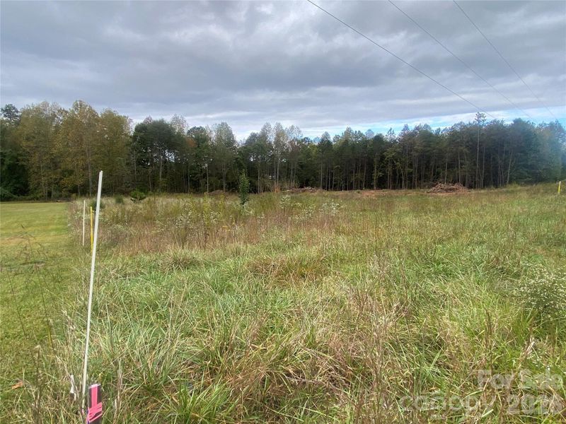 Natural landscape and outdoor views near  in Forest City (Image 16).