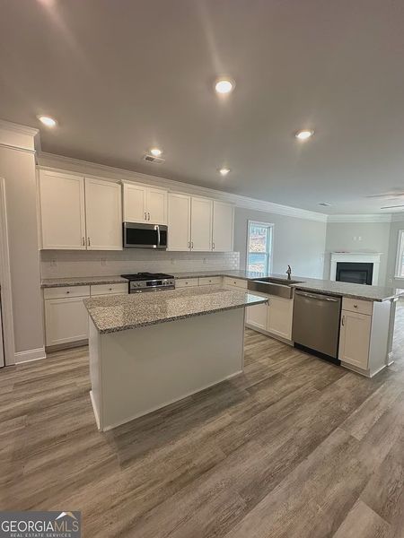 Furnished interior view inside a new home in Mirror Lake at South Harbour, Villa Rica (Image 3).