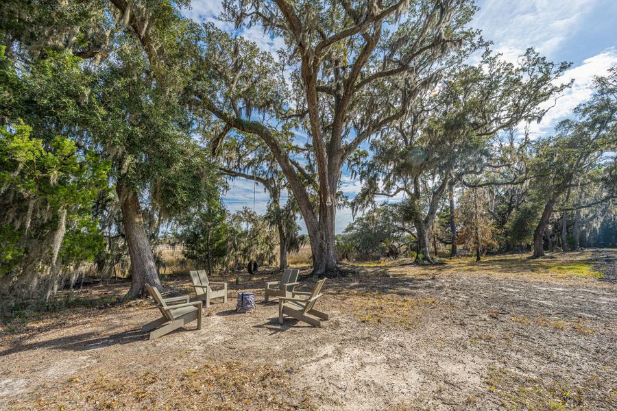 Natural landscape and outdoor views near in Johns Island (Image 70). Natural landscape and outdoor views near in Johns Island (Image 70).