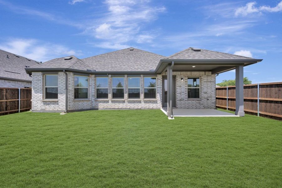 Backyard Backyard