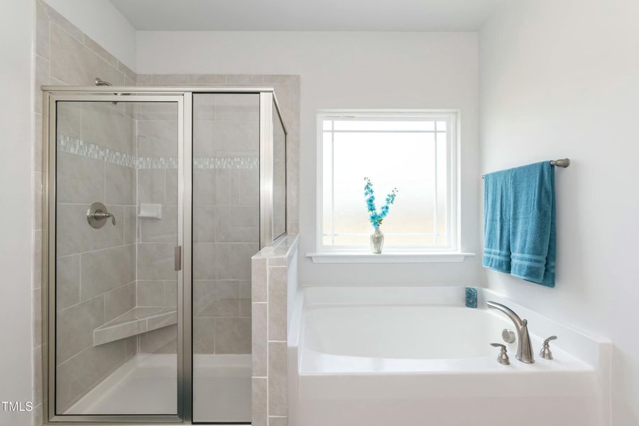 Walk-In Shower and Soaking Tub