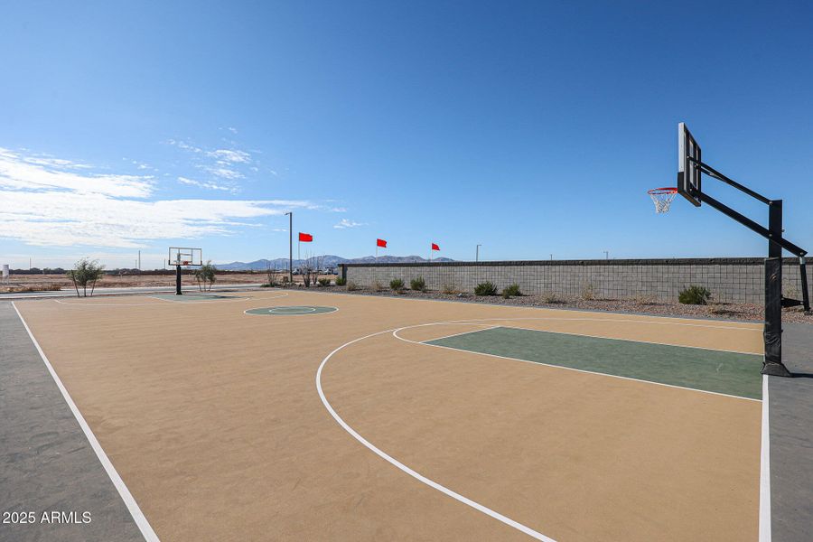 Basketball Court