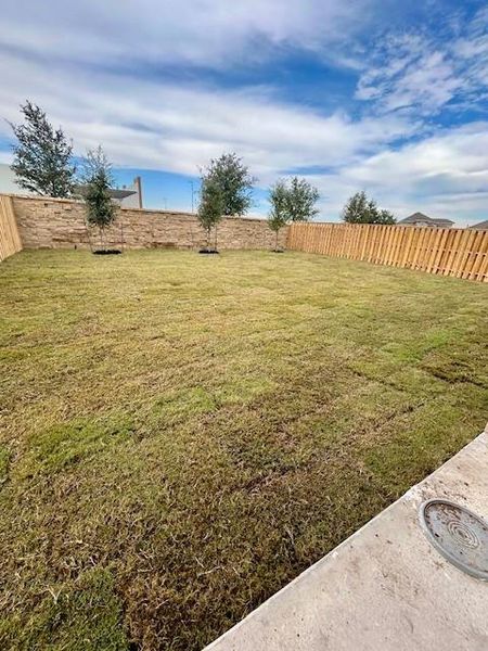 Private Backyard of Home