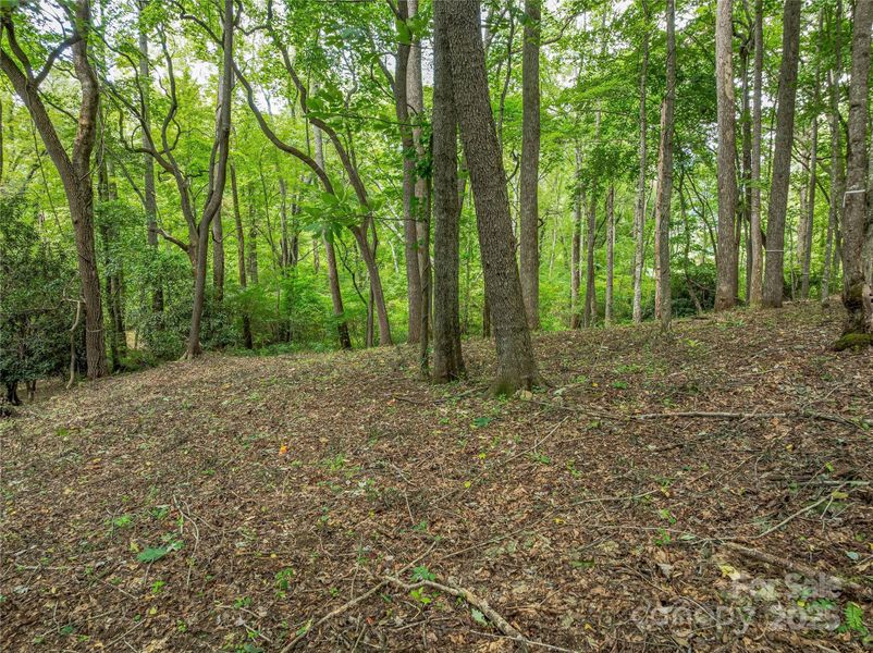 Natural landscape and outdoor views near  in Arden (Image 24).