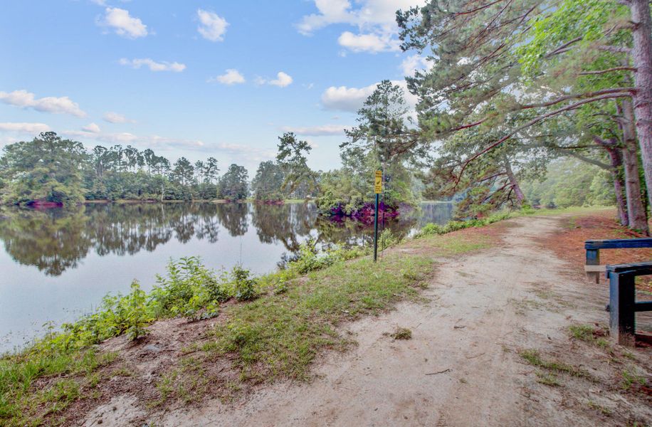 Natural landscape and outdoor views near  in Moncks Corner (Image 70).