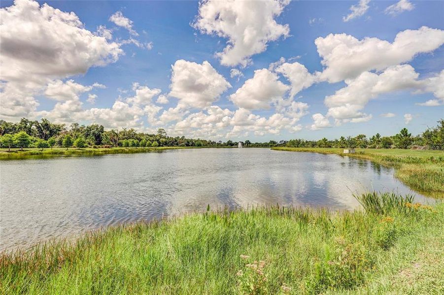 Natural landscape and outdoor views near in Sarasota (Image 74). Natural landscape and outdoor views near in Sarasota (Image 74).