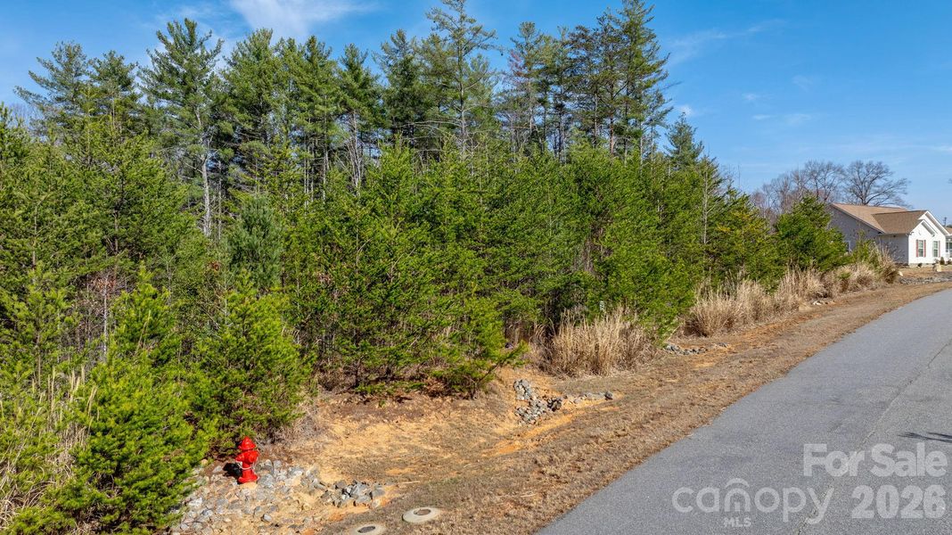 Natural landscape and outdoor views near  in Morganton (Image 13).