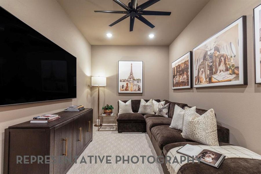 Entertainment Room