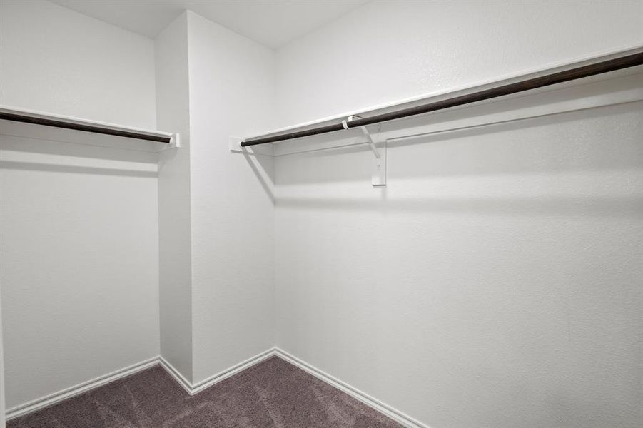 Walk in closet with dark colored carpet Walk in closet with dark colored carpet