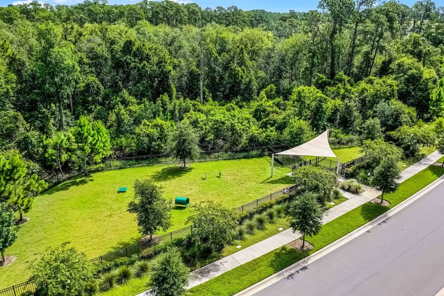 Natural landscape and outdoor views near Northlake at Ovation in Winter Garden (Image 40).