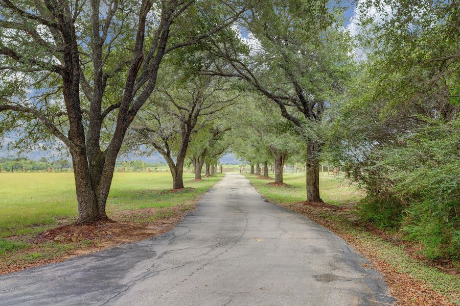 Natural landscape and outdoor views near Oakberry Trails in Waller (Image 19).