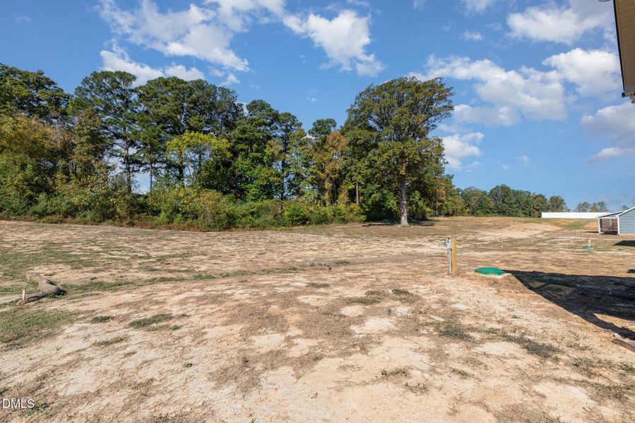 027_img_5204-edit_239