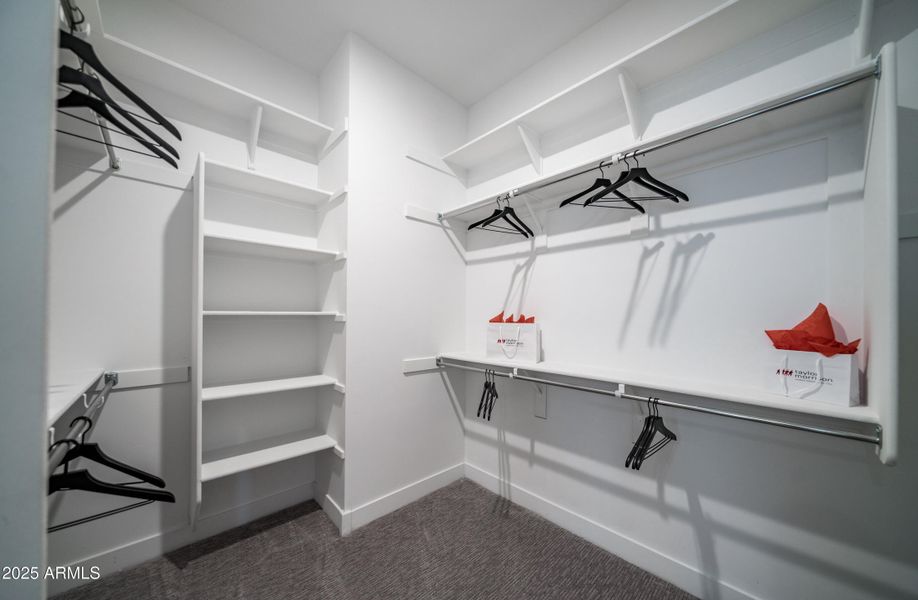 11615 N 169th Ave 11615 N 169th Ave