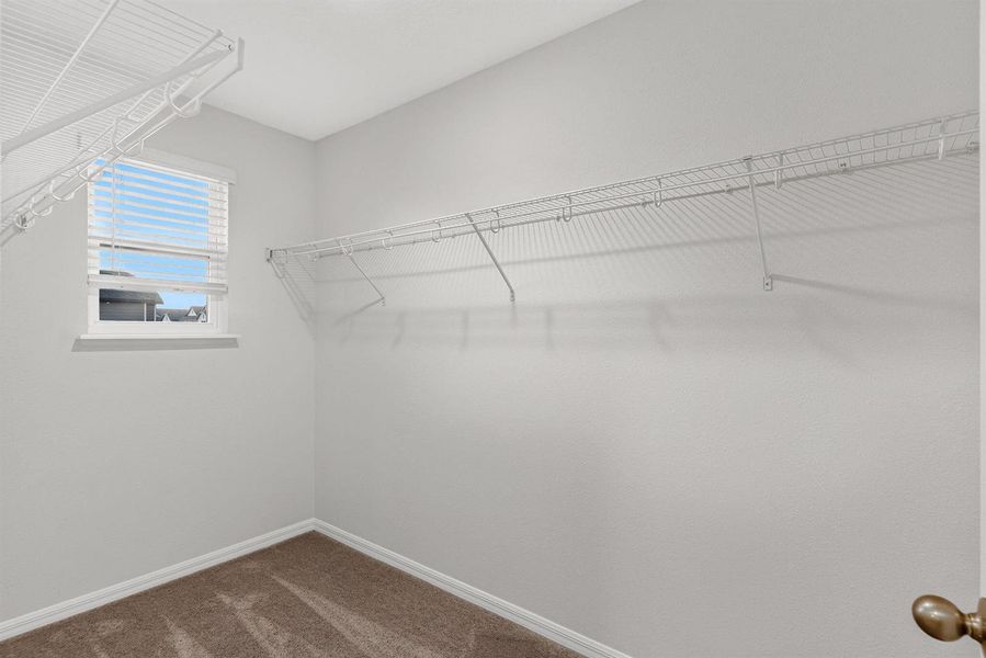 22-web-or-mls-DSC03370