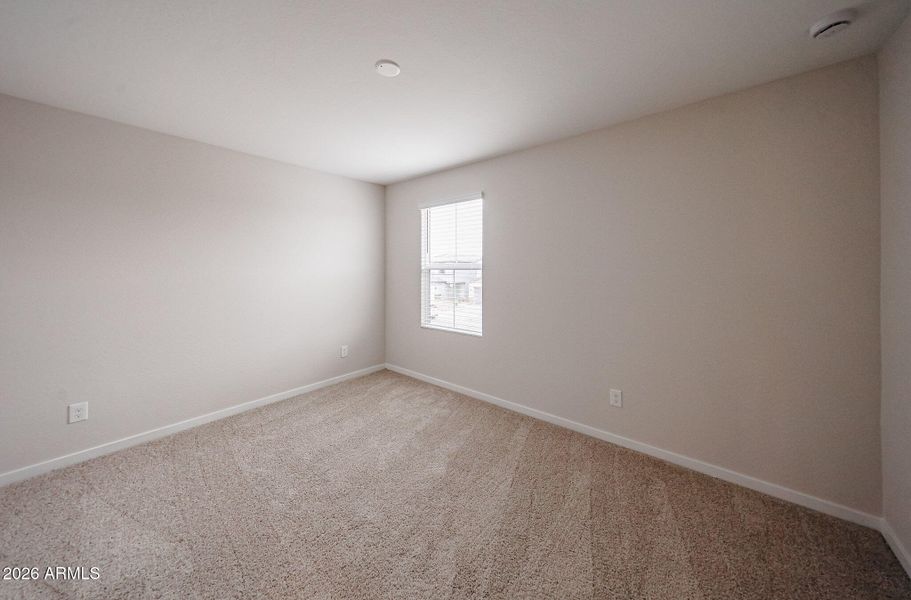 13_North-Copper-Canyon_Iris_Lot-63_New-C