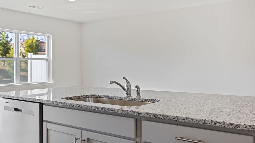 Close-up of interior finishes inside a home in Brookside Ridge Townhomes, Greer (Image 16).