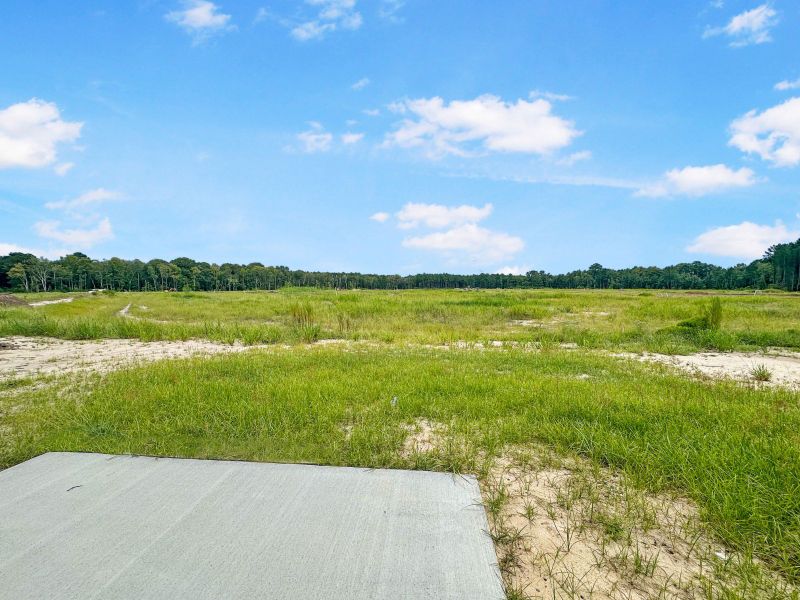 Natural landscape and outdoor views near Tranquil South in Hinesville (Image 15).