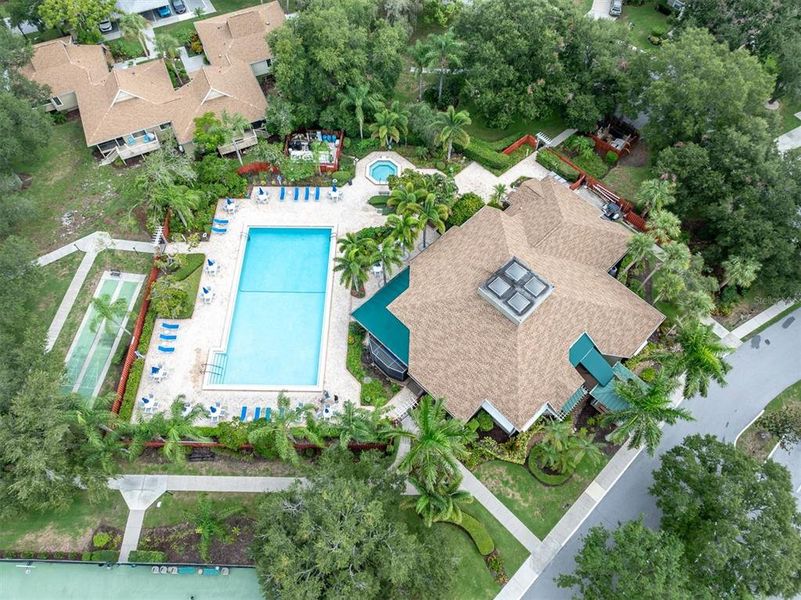Community amenities in , Tarpon Springs (Image 34). Community amenities in , Tarpon Springs (Image 34).