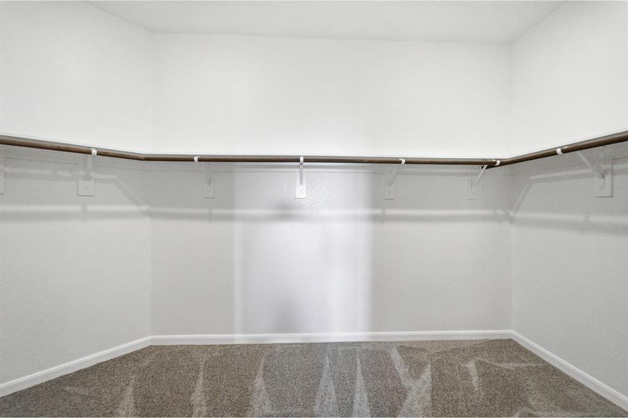 Walk-in closet with carpet flooring, white walls, white baseboards, and built-in shelving with hanging rods Walk-in closet with carpet flooring, white walls, white baseboards, and built-in shelving with hanging rods