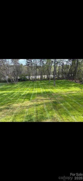 Natural landscape and outdoor views near  in Statesville (Image 20).