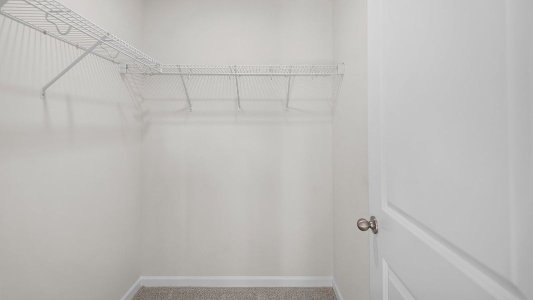 Spacious, unfurnished interior of a new home in Waverly Place, Linwood (Image 24).