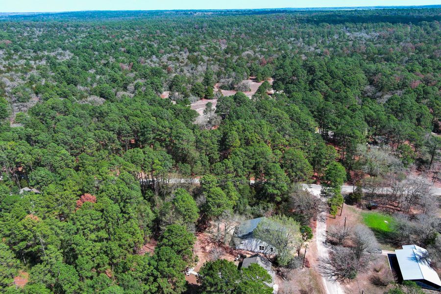 Natural landscape and outdoor views near  in Bastrop (Image 8).