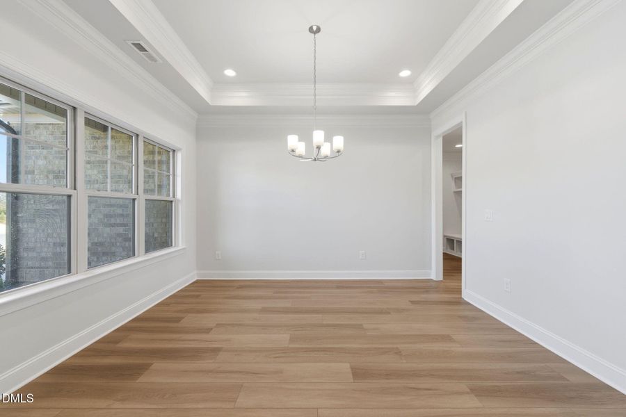 31-web-or-mls-DSC06743