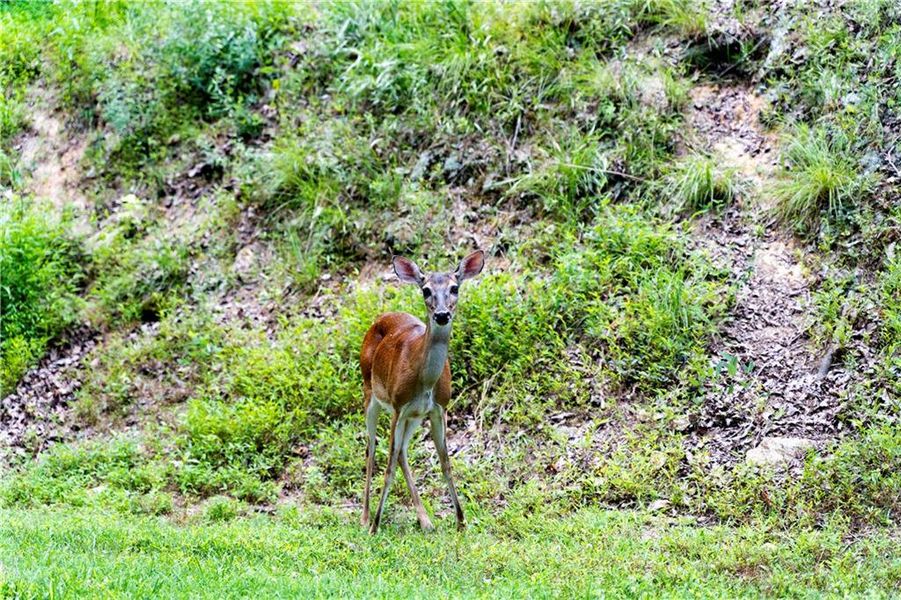 Image 28 of a home in . Image 28 of a home in .