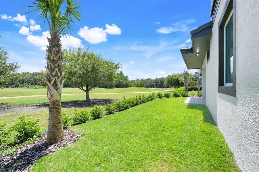 Exterior details and patio area of a home in Hampton Green at Providence, Davenport (Image 35).