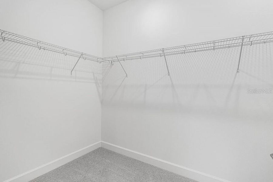 REPRESENTATIVE PHOTO