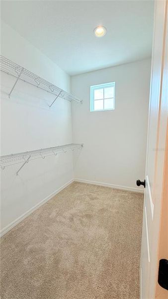 Spacious, unfurnished interior of a new home in , Palmetto (Image 26).