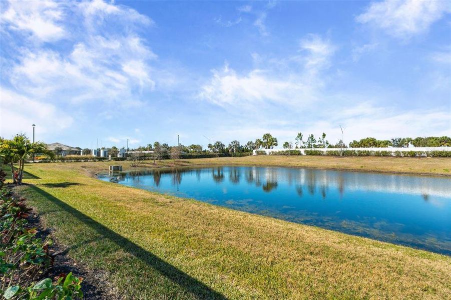 Natural landscape and outdoor views near  in Lakewood Ranch (Image 86).