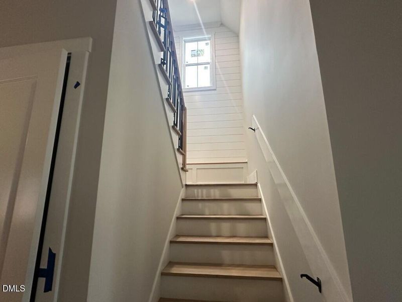 Photo Jan 03 2026, 9 31 25 AM (Medium)