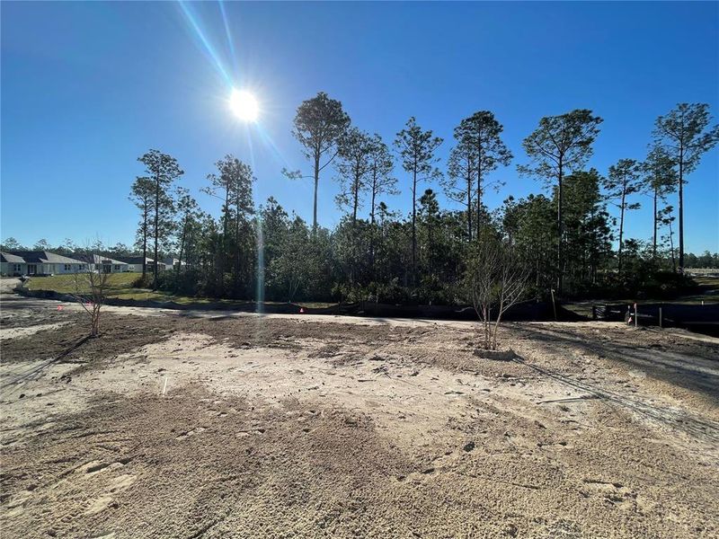 Image 27 of a home in Magnolia Series at Seminole Palms.