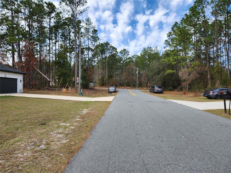 Natural landscape and outdoor views near  in Ocala (Image 80).