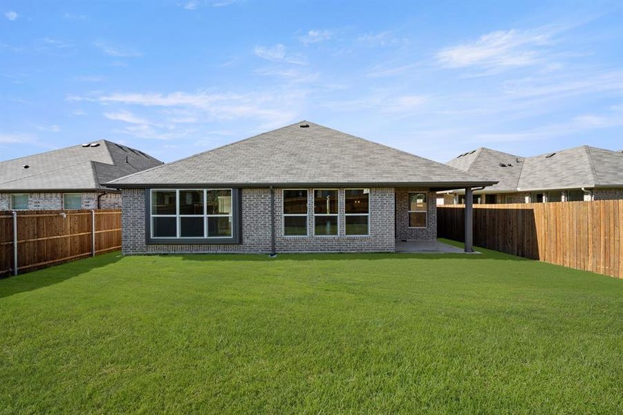 10345 Tapioca- Back-2