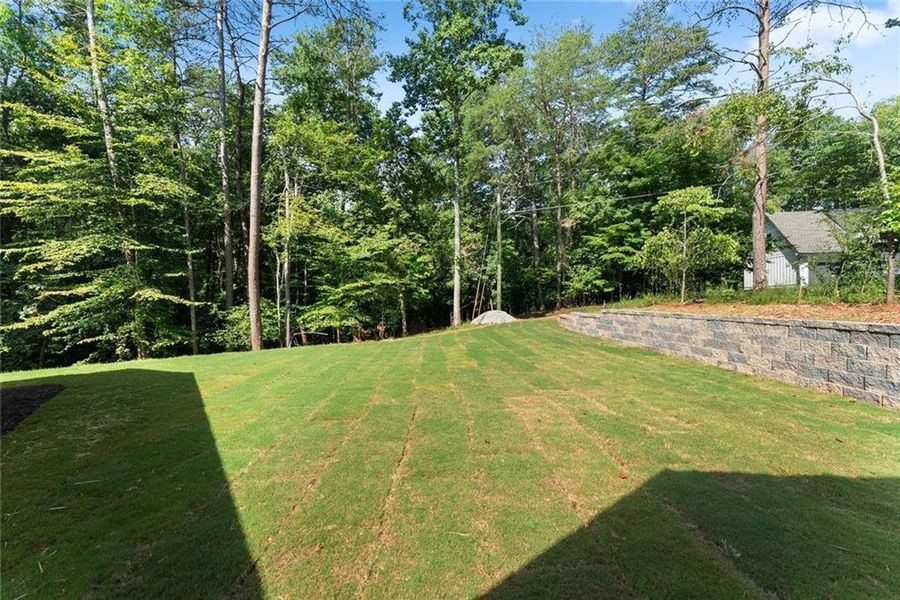 Natural landscape and outdoor views near in Gainesville (Image 53). Natural landscape and outdoor views near in Gainesville (Image 53).