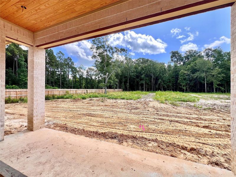 Back yard view, approximately 100X200. Back yard view, approximately 100X200.
