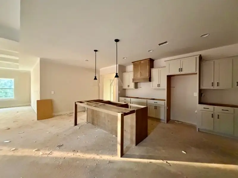 In-progress construction of a new home in Lakefield, Palmetto, GA (Image 4).