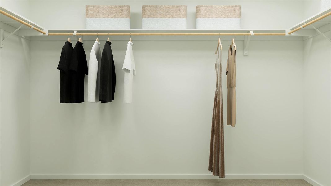 Close-up of interior finishes inside a home in Firefly Pointe, Hutto (Image 19).