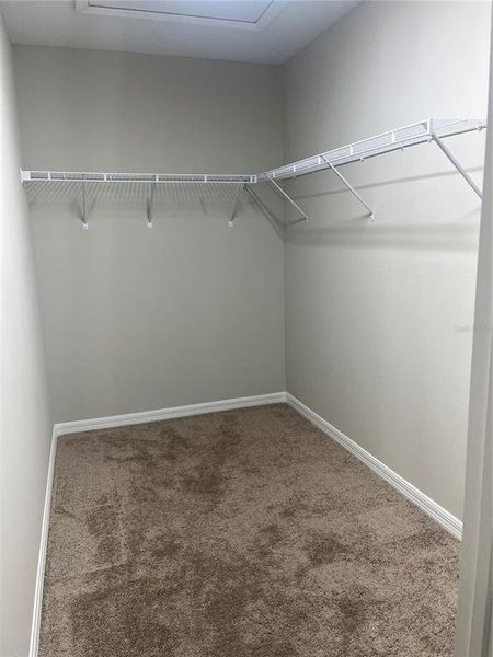 Spacious, unfurnished interior of a new home in Pasadena Point, Wesley Chapel (Image 29).